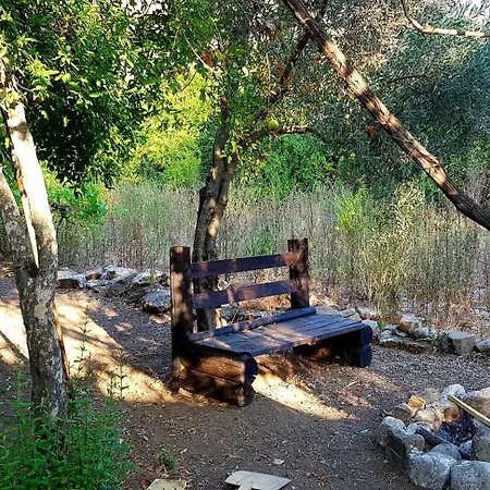 Amon Ra Homestay *