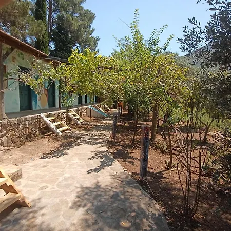 Homestay Amon Ra
